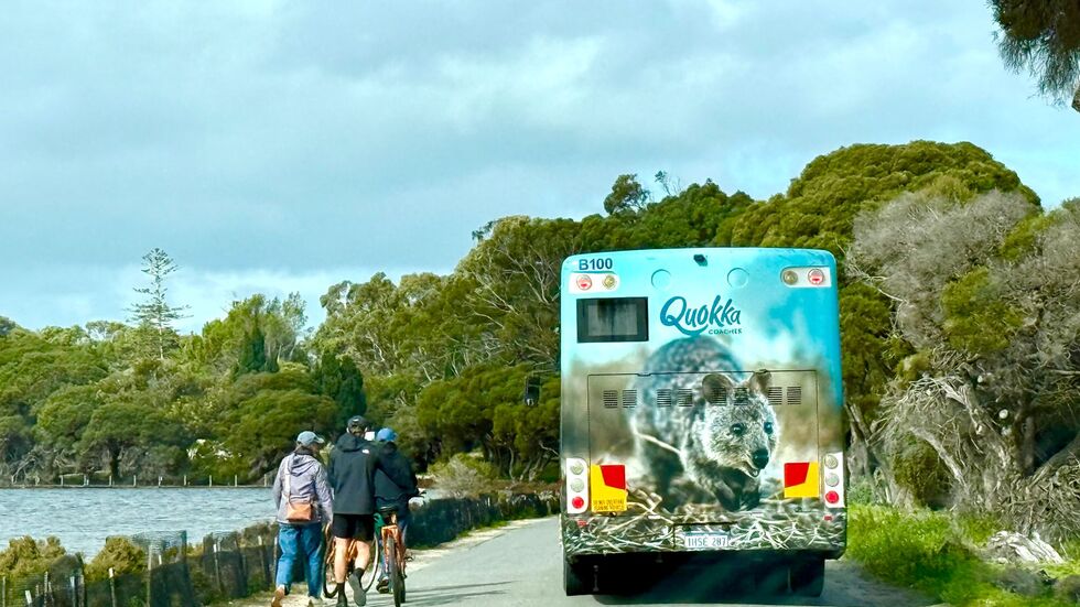 Die meisten Touristen auf Rottnest Island fahren Fahrrad - oder mit dem Quokka-Bus. Die meisten Touristen auf Rottnest Island fahren Fahrrad - oder mit dem Quokka-Bus.