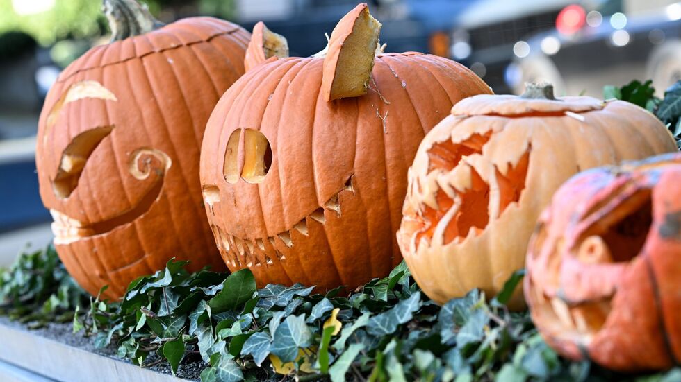 Ausgehöhlte Kürbisse mit gruseligen Fratzen in einem Vorgarten in Frankfurt am Main. (Archivbild)