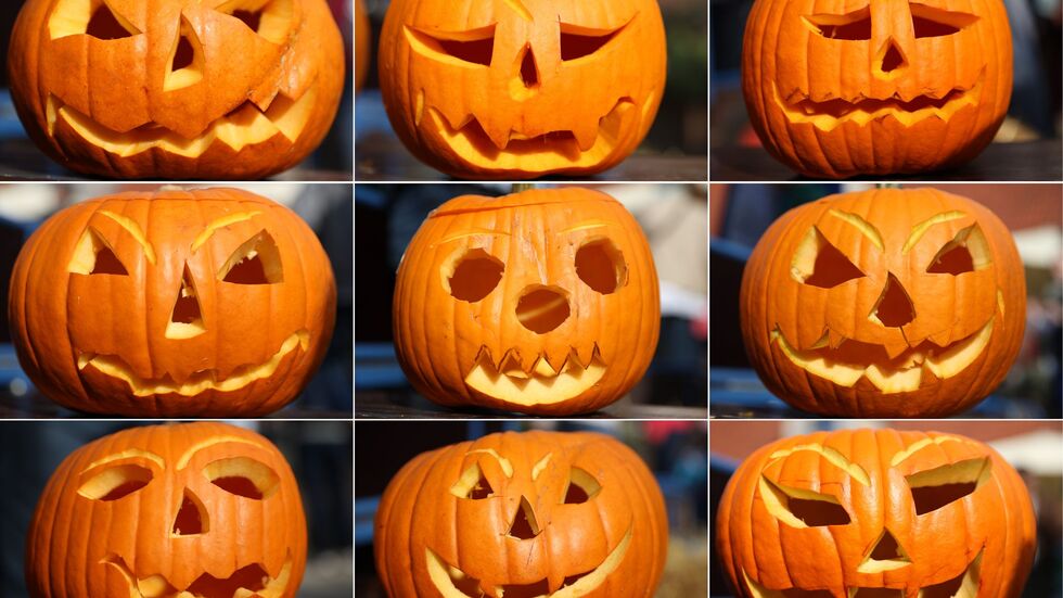 Geschnitzte Kürbisse: Nicht zuletzt Halloween hat den Kürbis hierzulande beliebter gemacht. (Archivbild)