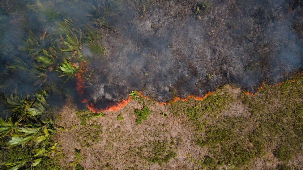 Flammen breiten sich in einem Amazonas-Gebiet aus. (Archivbild) Flammen breiten sich in einem Amazonas-Gebiet aus. (Archivbild)