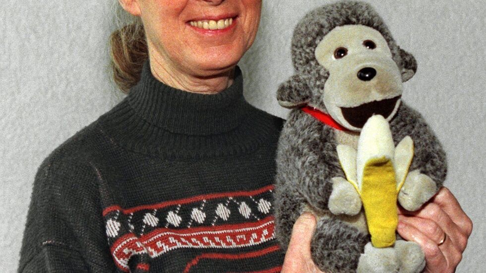 Jane Goodall brachte oft einen Affen mit. (Archivbild) Jane Goodall brachte oft einen Affen mit. (Archivbild)