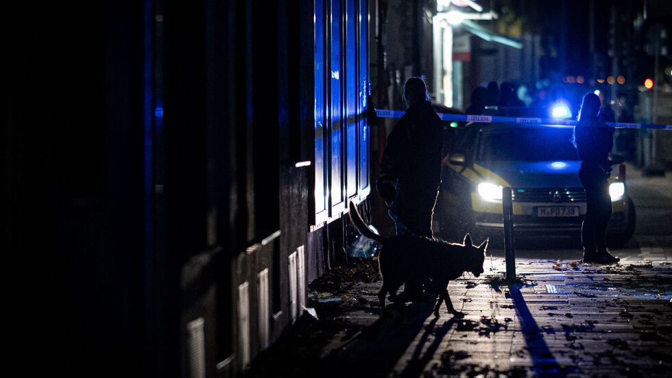 Auch Spürhunde sind im Einsatz.