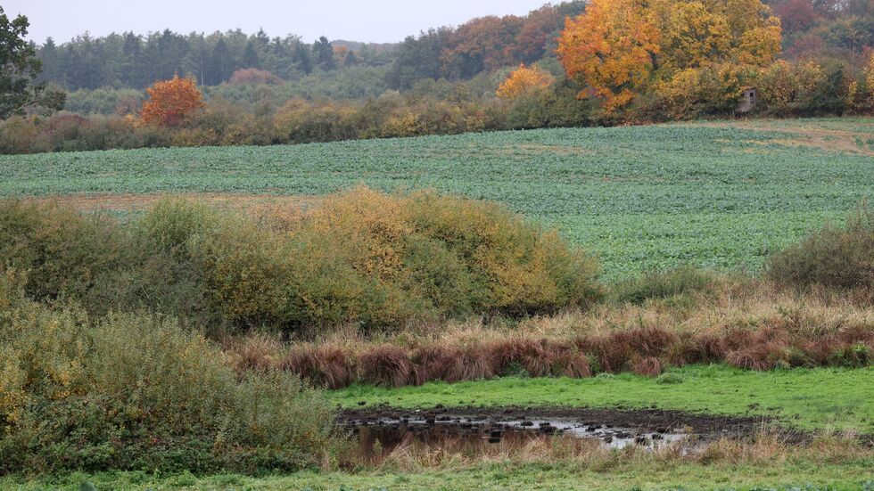 Die Suchmaßnahmen im Umfeld der Stelle, an der in der Nähe Güstrows am Dienstag ein toter Junge gefunden wurde, sind abgeschlossen.  Die Suchmaßnahmen im Umfeld der Stelle, an der in der Nähe Güstrows am Dienstag ein toter Junge gefunden wurde, sind abgeschlossen.