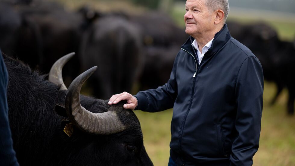 Hat als einfacher Abgeordneter nun mehr Zeit: Der frühere Bundeskanzler Olaf Scholz (SPD). (Archivbild) Hat als einfacher Abgeordneter nun mehr Zeit: Der frühere Bundeskanzler Olaf Scholz (SPD). (Archivbild)