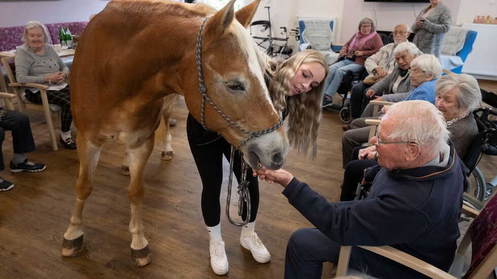Der Besuch der Stute ist für die alten Menschen eine willkommene Abwechslung zum Alltag im Altersheim.