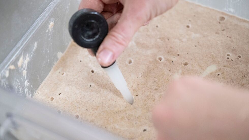 Der Ansatz muss immer wieder gefüttert werden. Der Ansatz muss immer wieder gefüttert werden.