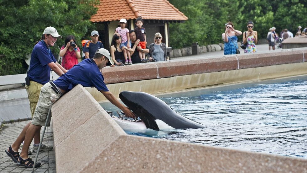 Der inzwischen geschlossene Freizeitpark in Kanada warnt, er müsse womöglich seine Tiere einschläfern. (Archivbild)
