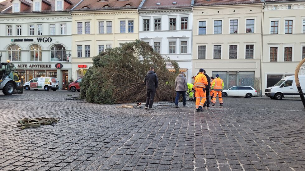 Mitarbeiter des Bauhofes haben den Schmuck abgenommen und den Stamm eingekürzt. Die Blaufichte soll wieder aufgerichtet werden.