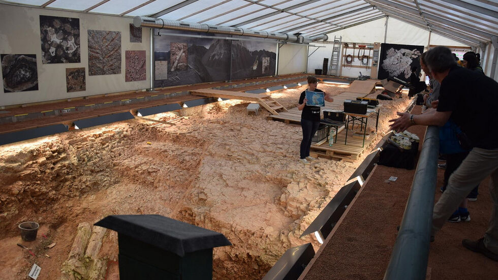 Die Grabungsstelle an der Glockenstraße. (Archivbild: Naturkundemuseum) Die Grabungsstelle an der Glockenstraße. (Archivbild: Naturkundemuseum)