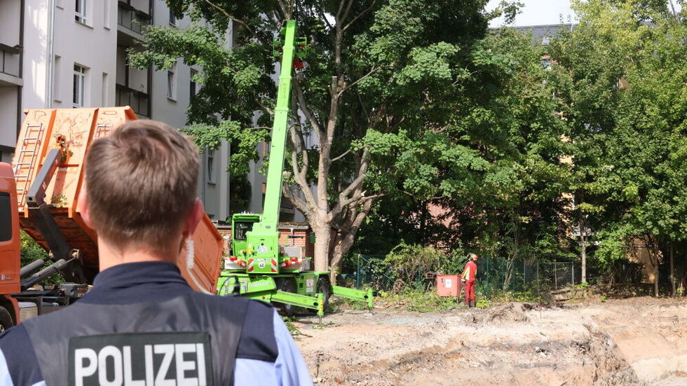 In Chemnitz ist ein 100 Jahre alter Ahorn an der Further Straße gefällt worden. Unter Polizeischutz. In Chemnitz ist ein 100 Jahre alter Ahorn an der Further Straße gefällt worden. Unter Polizeischutz.