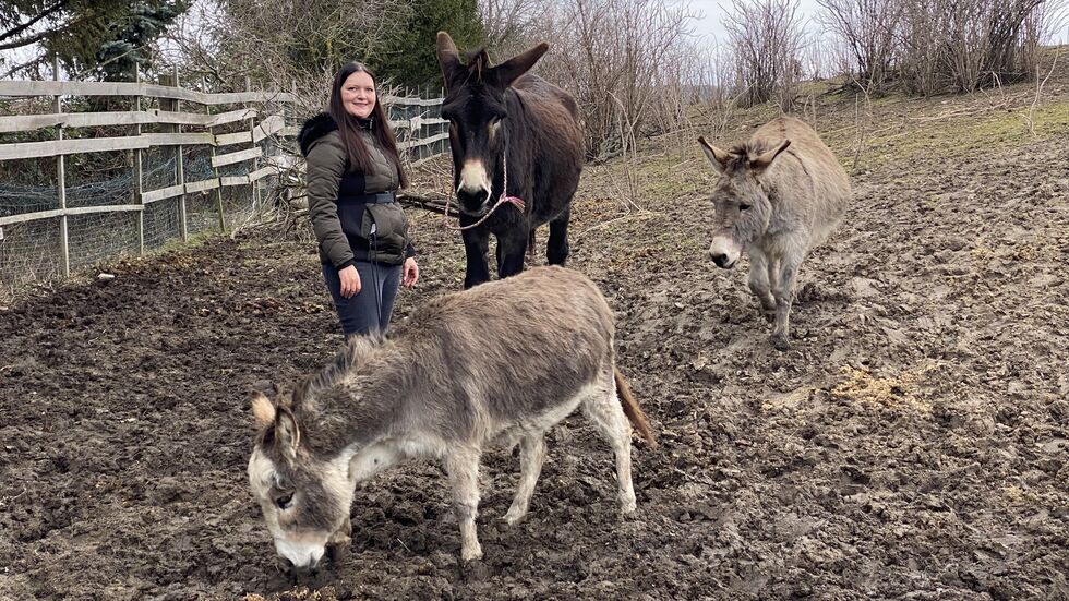 Katharina hat insgesamt vier Esel: "Der größte ist der dümmste", sagt sie schmunzelnd. Katharina hat insgesamt vier Esel: "Der größte ist der dümmste", sagt sie schmunzelnd.