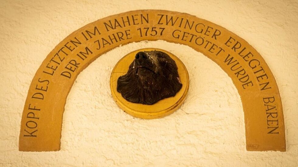 Der alte Bärenkopf vom Schloss Augustusburg wurde geklaut.