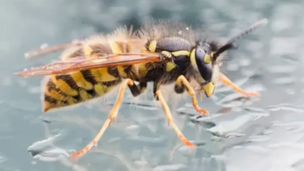 Symbolbild Symbolbild