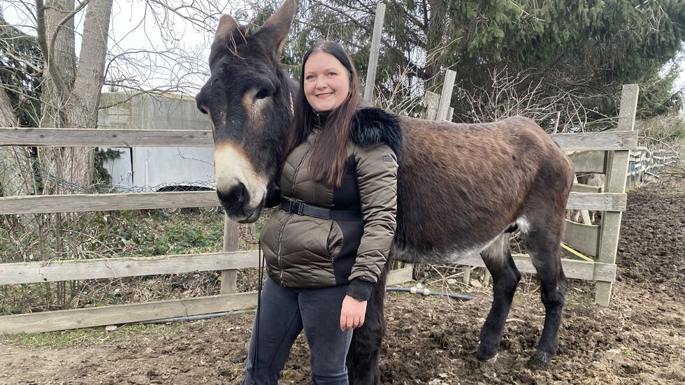 Katharina Perutzski (31) mit Riesenesel Fred (10) auf ihrem Gnadenhof "Kuschelfarm" in Krostitz nördlich von Leipzig. Katharina Perutzski (31) mit Riesenesel Fred (10) auf ihrem Gnadenhof "Kuschelfarm" in Krostitz nördlich von Leipzig.
