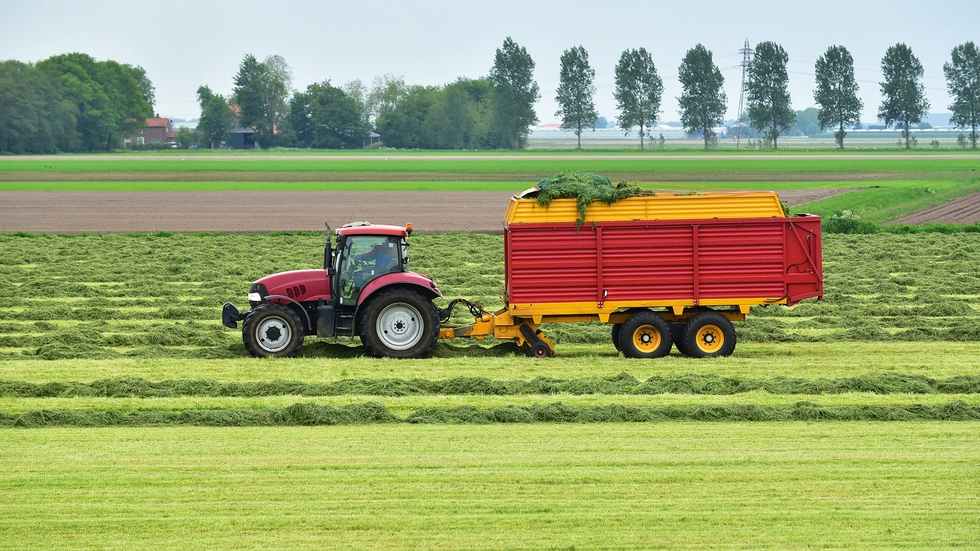 Beispielfoto Beispielfoto