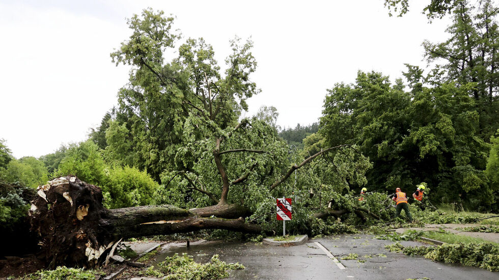 Über Chemnitz-Einsiedel ist am Montagnachmittag eine Unwetterfront gezogen. Mehrere Bäume wurden entwurzelt, ein Schulgebäude beschädigt. Die Feuerwehr war im Einsatz.