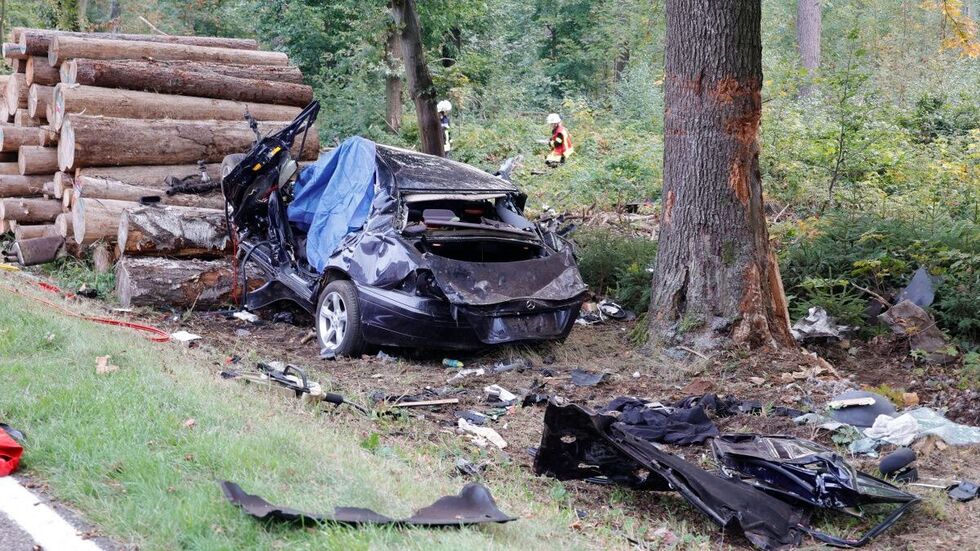 Der Unfallwagen kollidierte mit einem Verkehrszeichen, zwei Bäumen und blieb an einem Holzstapel liegen.