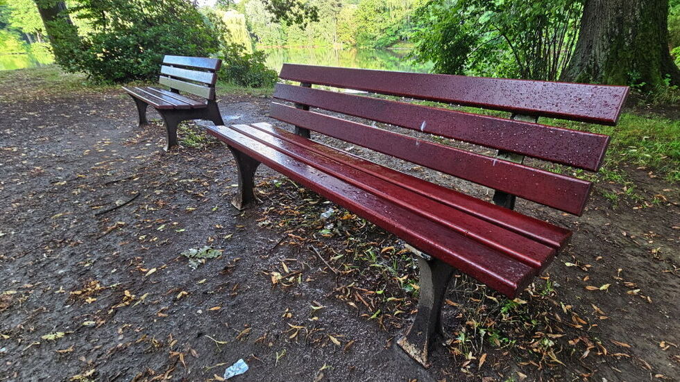 Im Stadtpark Chemnitz wurden kaputte Parkbänke ersetzt. Die Stadt hat 1.836 Bänke im Blick, doch die Mittel sind knapp. Im Stadtpark Chemnitz wurden kaputte Parkbänke ersetzt. Die Stadt hat 1.836 Bänke im Blick, doch die Mittel sind knapp.