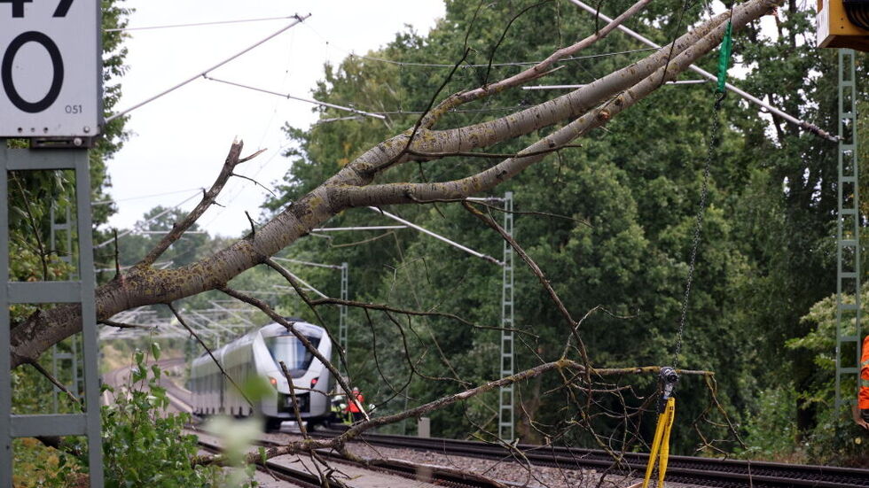 Ein umgestürzter Baum hat den Zugverkehr zwischen Chemnitz und Dresden lahmgelegt.