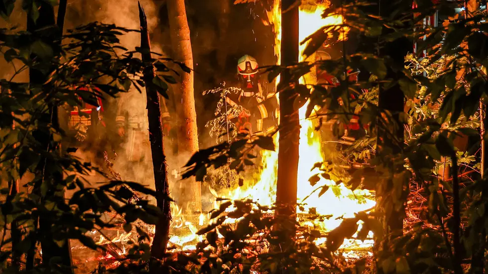 Nachts brennt es im Wald „Am Ochsenborn“ in Hohenstein-Ernstthal. Keine 100 Meter entfernt von der Autobahn A4 und in unmittelbarer Nähe zum Oberwald. Nachts brennt es im Wald „Am Ochsenborn“ in Hohenstein-Ernstthal. Keine 100 Meter entfernt von der Autobahn A4 und in unmittelbarer Nähe zum Oberwald.