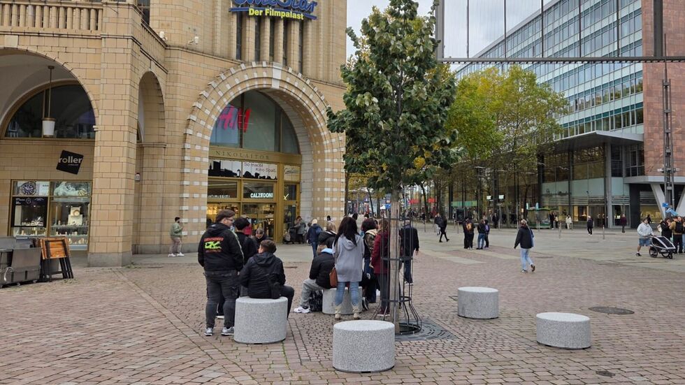 12.000 Euro kosten die sieben neuen Sitzgelegenheiten am Chemnitzer Marktbaum. 12.000 Euro kosten die sieben neuen Sitzgelegenheiten am Chemnitzer Marktbaum.