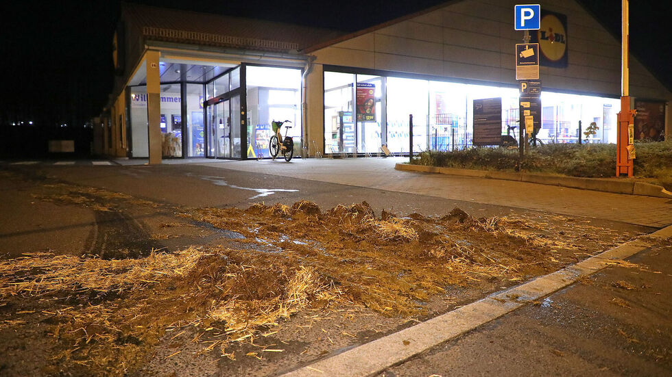 In der Zufahrt zum Discounter in Prohlis wurde Mist abgekippt. In der Zufahrt zum Discounter in Prohlis wurde Mist abgekippt.