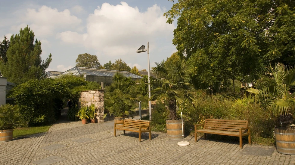 Botanischer Garten Chemnitz Botanischer Garten Chemnitz