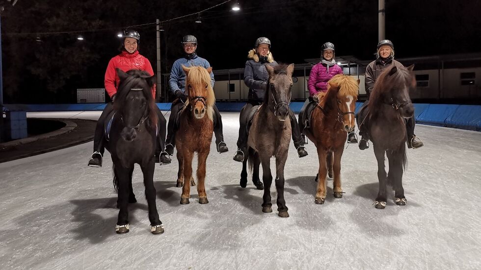 Islandpferde auf dem Eis (Archiv)