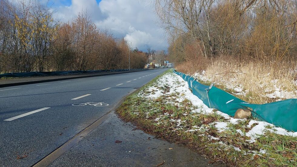 Ein Krötenschutzzaun, wie hier an der Straße am Löbauer Berg soll ausreichend Schutz für die Tiere bieten. Ein Krötenschutzzaun, wie hier an der Straße am Löbauer Berg soll ausreichend Schutz für die Tiere bieten.