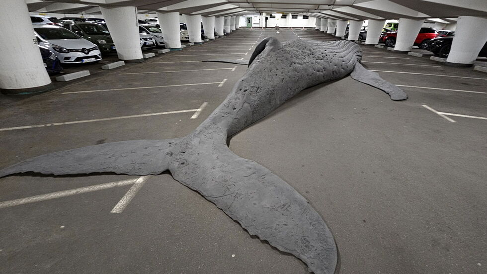 In der Tiefgarage am Theaterplatz liegt ein toter Wal. In der Tiefgarage am Theaterplatz liegt ein toter Wal.