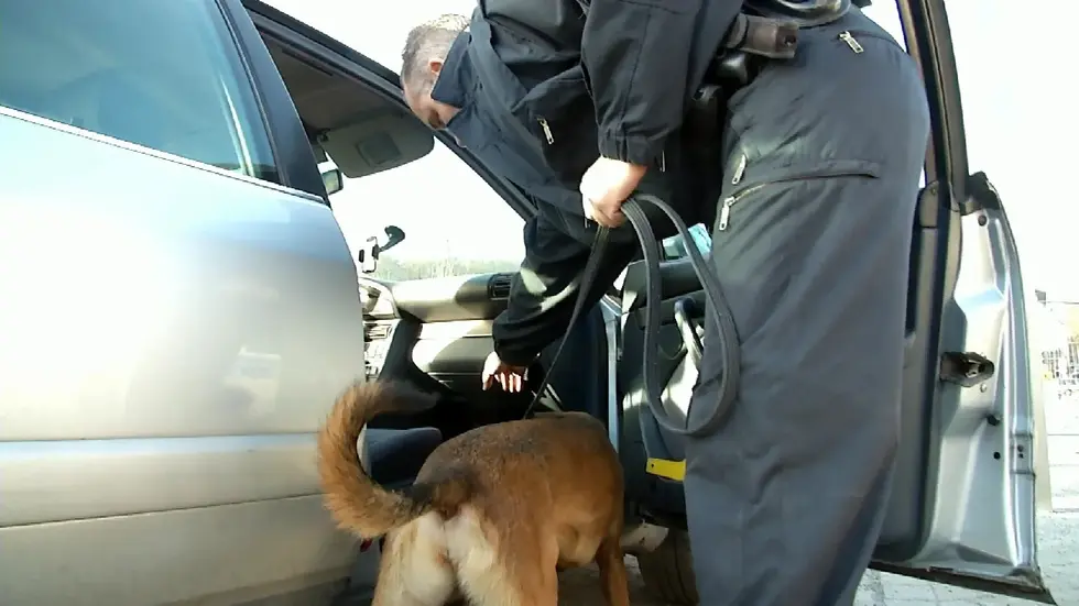 Vor allem bei Grenzkontrollen werden geschmuggelte Tiere festgestellt. Vor allem bei Grenzkontrollen werden geschmuggelte Tiere festgestellt.