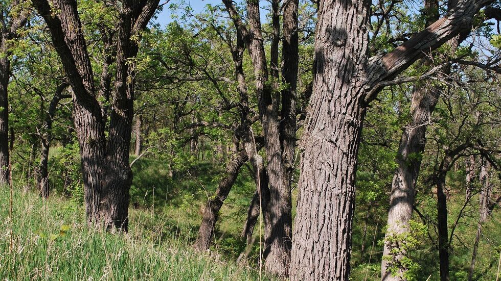 Symboldbild Symboldbild