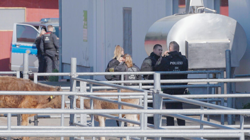 Sogar die Tiere werden beim Großeinsatz in Halsbrücke beschlagnahmt Sogar die Tiere werden beim Großeinsatz in Halsbrücke beschlagnahmt