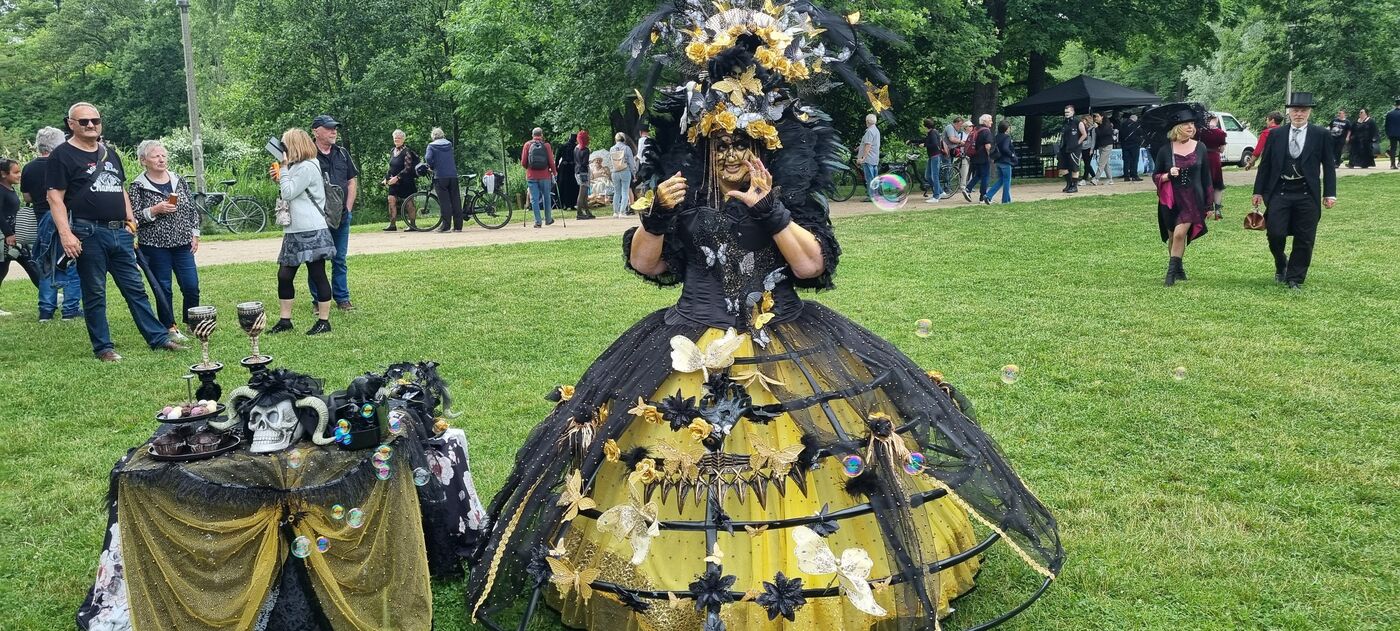 Die 30 schönsten Bilder vom Viktorianischen Picknick 2025 - Radio