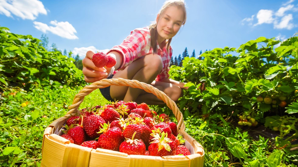 Symbolbild Symbolbild