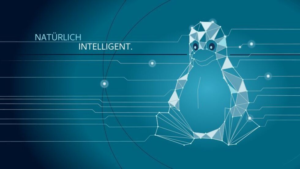 Grafik: Antje Schreiber