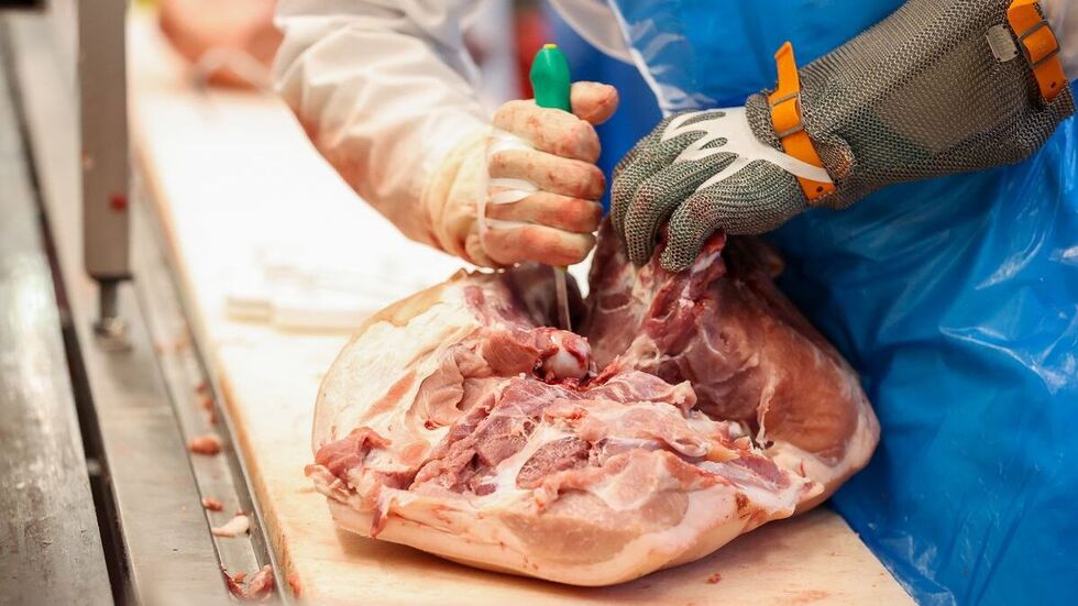Ein Mitarbeiter zerlegt Schweinekeulen in einem Schlachtbetrieb. Ein Mitarbeiter zerlegt Schweinekeulen in einem Schlachtbetrieb.