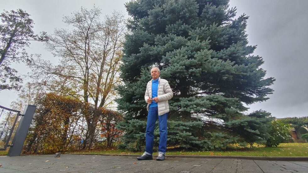 Karl-Heinz Rösler vor der Fichte, die er gern abgeben würde. Kostenlos! Nur für die Fällung und den Transport müsste der Interessent aufkommen. Karl-Heinz Rösler vor der Fichte, die er gern abgeben würde. Kostenlos! Nur für die Fällung und den Transport müsste der Interessent aufkommen.