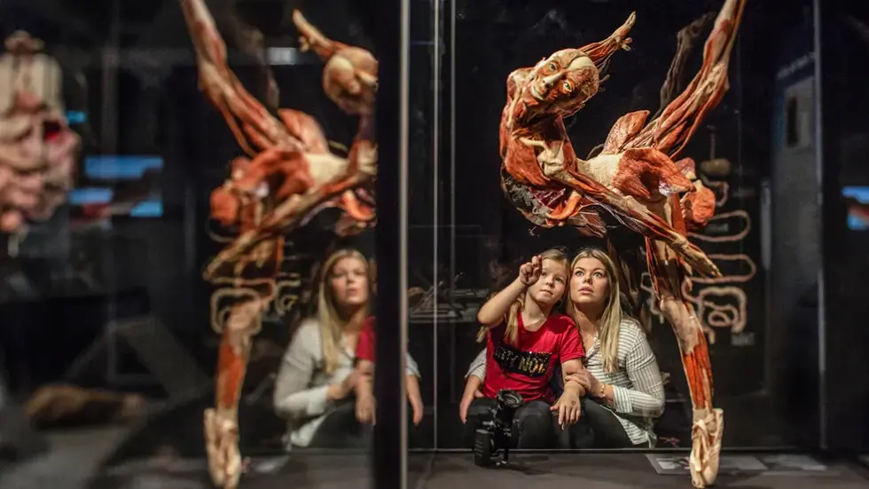 Ein Kind zeigt nach oben, die Mutter blickt staunend hinterher: In der Chemnitzer Ausstellung „KÖRPERWELTEN & Der Zyklus des Lebens“ werden Anatomie, Bewegung und Vergänglichkeit auf eindrucksvolle Weise sichtbar. Ein Kind zeigt nach oben, die Mutter blickt staunend hinterher: In der Chemnitzer Ausstellung „KÖRPERWELTEN & Der Zyklus des Lebens“ werden Anatomie, Bewegung und Vergänglichkeit auf eindrucksvolle Weise sichtbar.